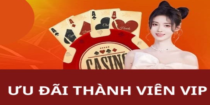 Ưu đãi đặc quyền dành cho thành viên VIP