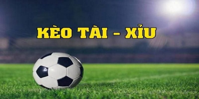 Thông tin chi tiết về kèo tài xỉu